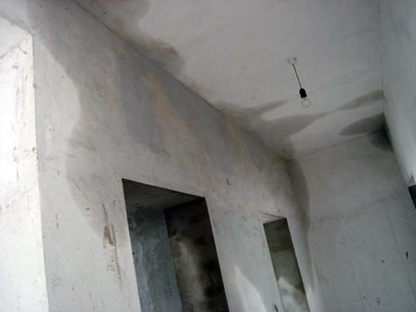 房子渗水墙体湿怎么办 墙面卷材防水施工方案