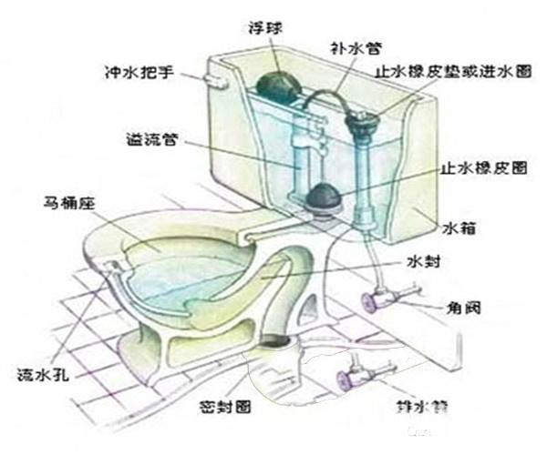 虹吸式马桶结构图 虹吸式马桶好不好