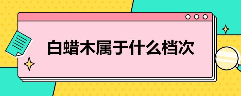 白蜡木属于什么档次？