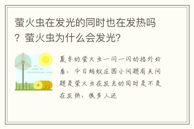 萤火虫在发光的同时也在发热吗？萤火虫为什么会发光？