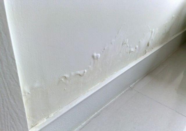 外墙漏水的原因 外墙漏水的处理方法