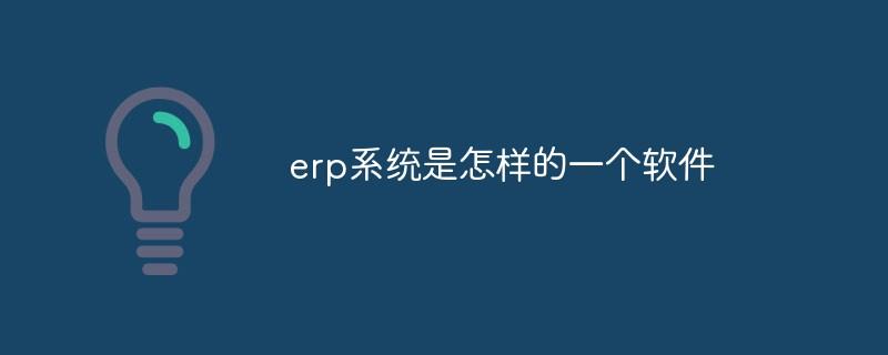 erp系统是怎样的一个软件