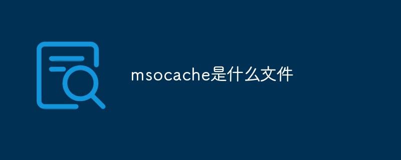 msocache是什么文件