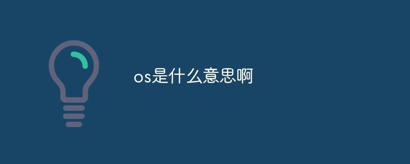 os是什么意思啊