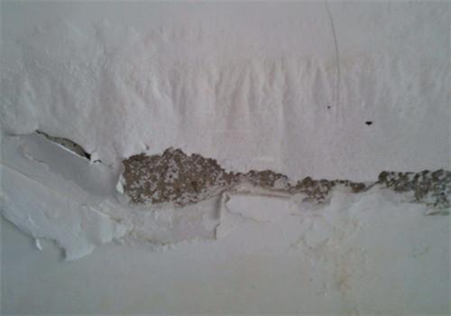 墙面受潮起皮脱落怎么处理 墙面起皮脱落的原因有哪些
