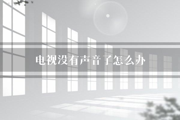 电视没有声音了怎么办