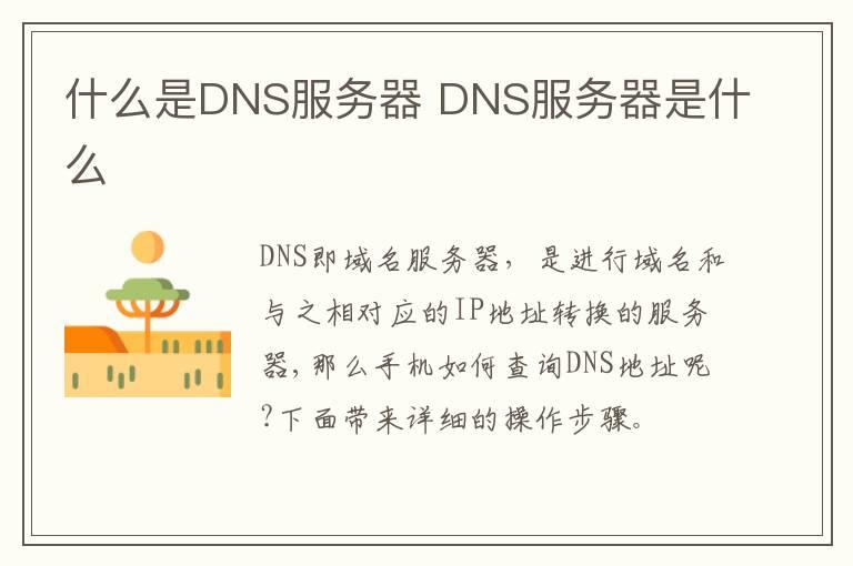 什么是DNS服务器？DNS服务器是什么